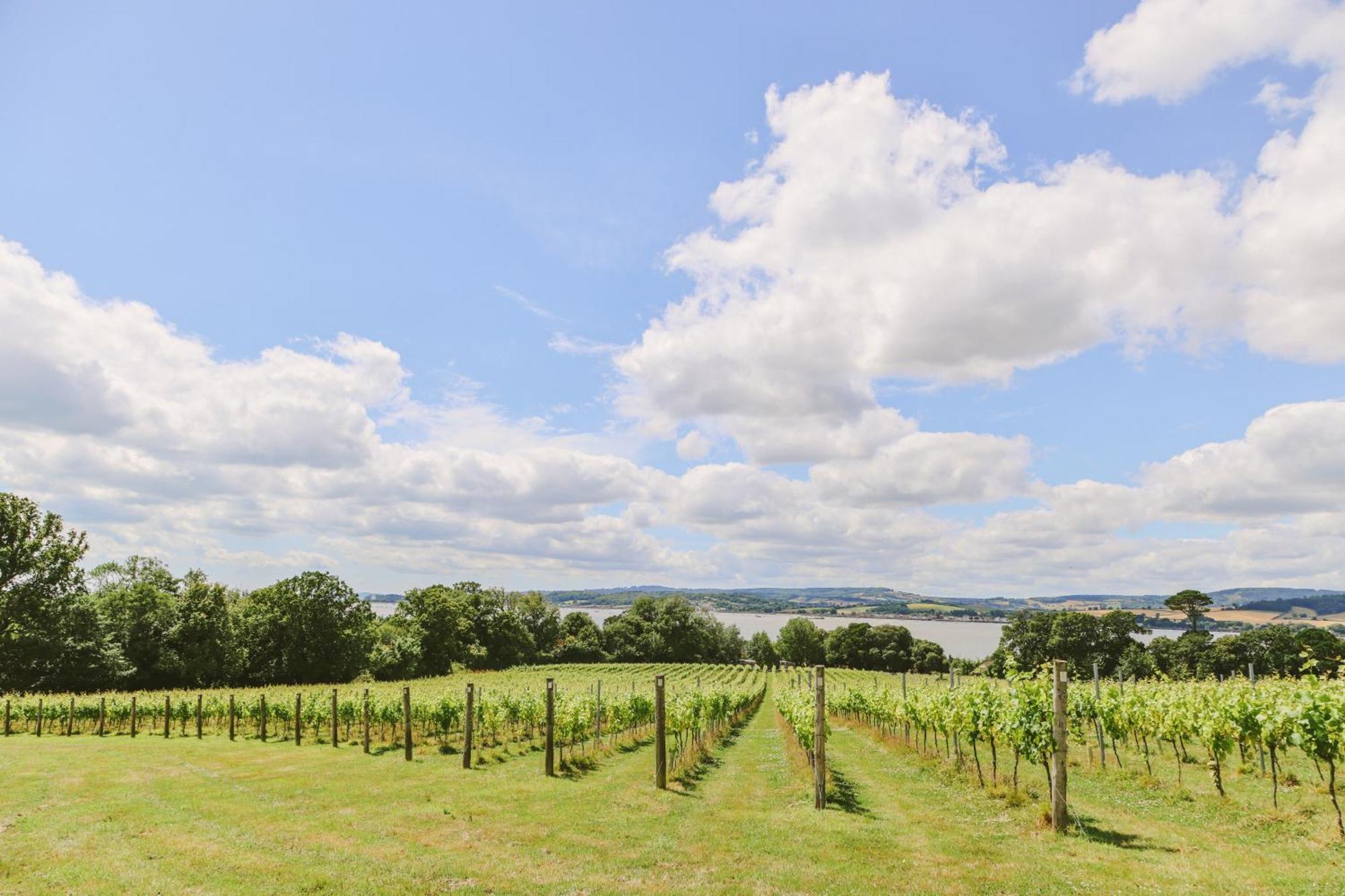 אקסמות' Lympstone Manor Hotel Restaurant & Vineyard - Relais & Chateaux מראה חיצוני תמונה