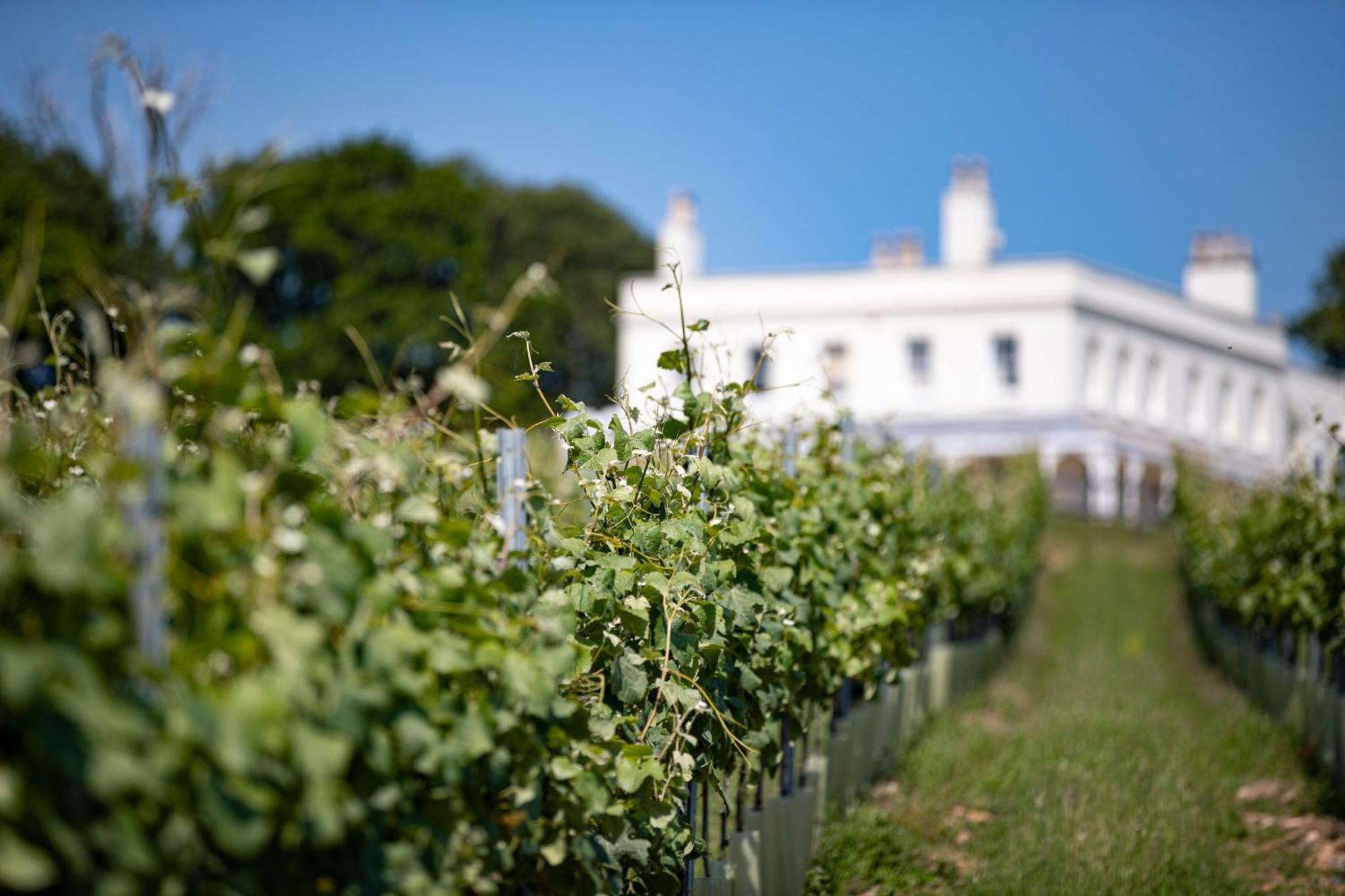 אקסמות' Lympstone Manor Hotel Restaurant & Vineyard - Relais & Chateaux מראה חיצוני תמונה