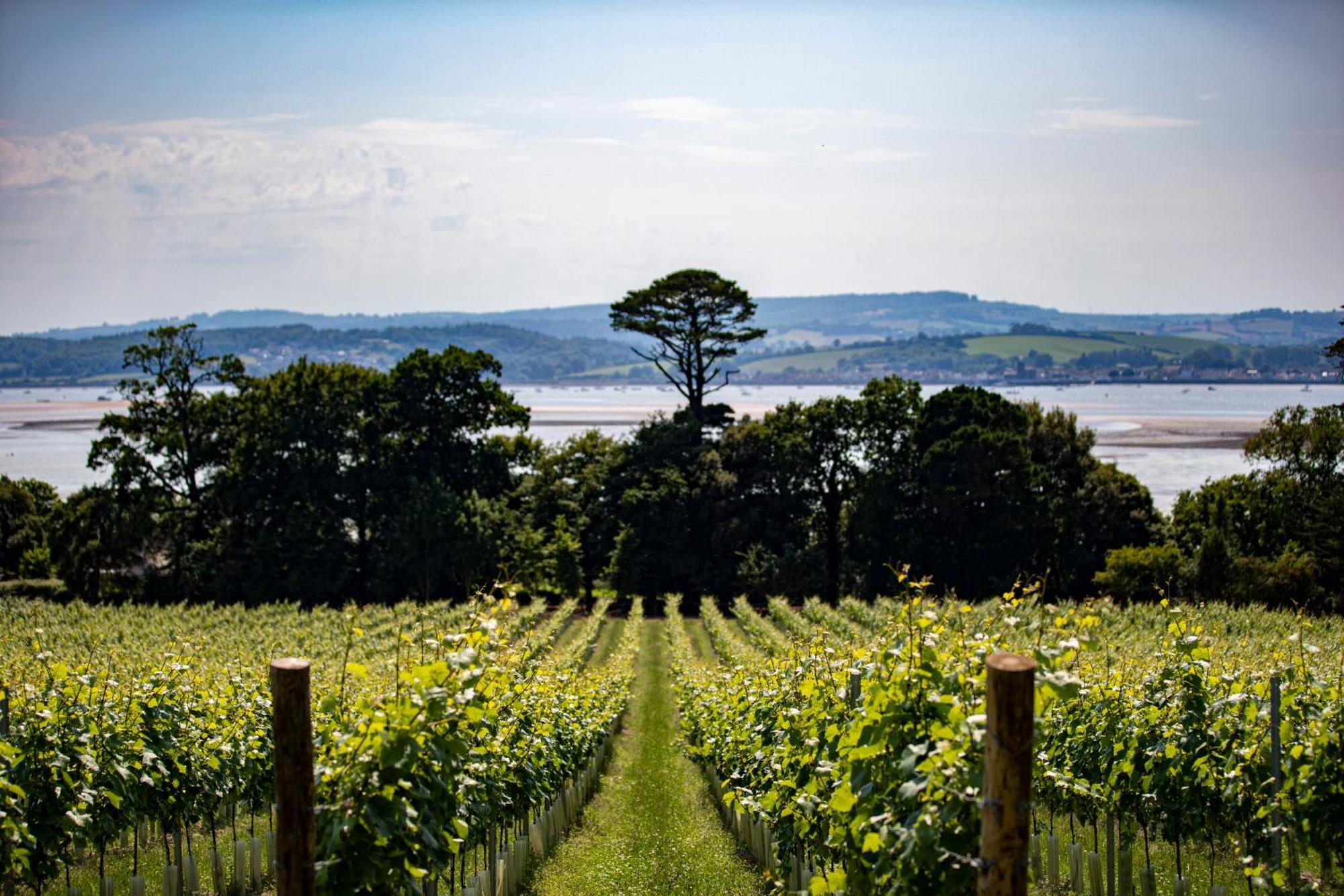 אקסמות' Lympstone Manor Hotel Restaurant & Vineyard - Relais & Chateaux מראה חיצוני תמונה