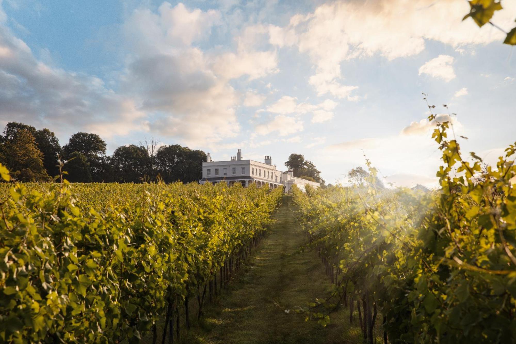 אקסמות' Lympstone Manor Hotel Restaurant & Vineyard - Relais & Chateaux מראה חיצוני תמונה